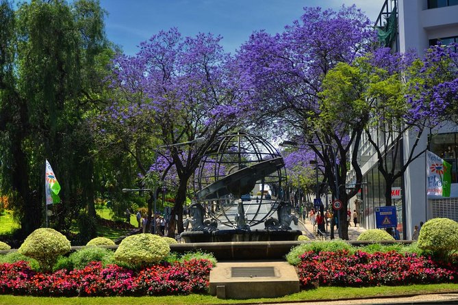 Private Funchal City Tour by Tukxi - Comfort, vehicle condition, and the open-air tradeoff