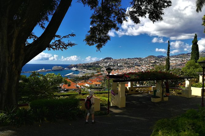 Private Funchal City Tour by Tukxi - A 90-minute route through old Funchal