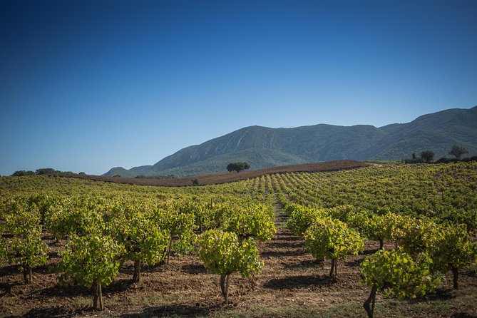 Private Lisbon Arrabida Wine Tour: Food & Wines, Mountain and Sea - Why this makes a good day trip from Lisbon