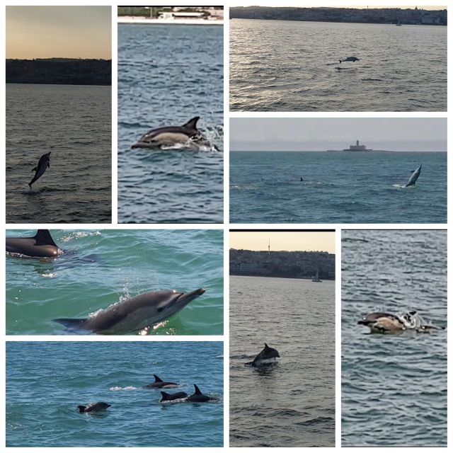 Private Lisbon Sightseeing Sailing Boat Tour with Locals - Why the Tagus is Lisbon’s best sightseeing shortcut