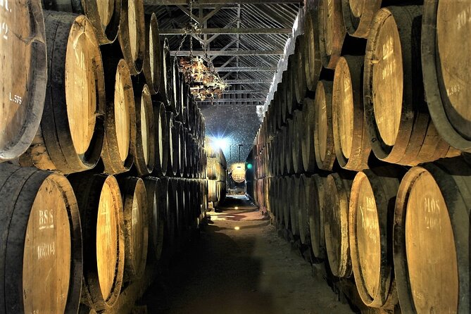 Private Wine Tasting in the Setúbal Wine Region, from Lisbon - The ride from Lisbon to Setúbal