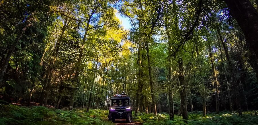 Prozelo: Buggy Tour - The vehicles and what they mean for you