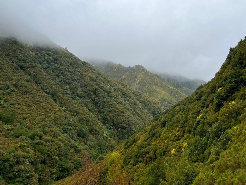 Rabaçal: 25 Fontes & Risco Levada Transfer Self-guided Hike - Why the early start changes the hike