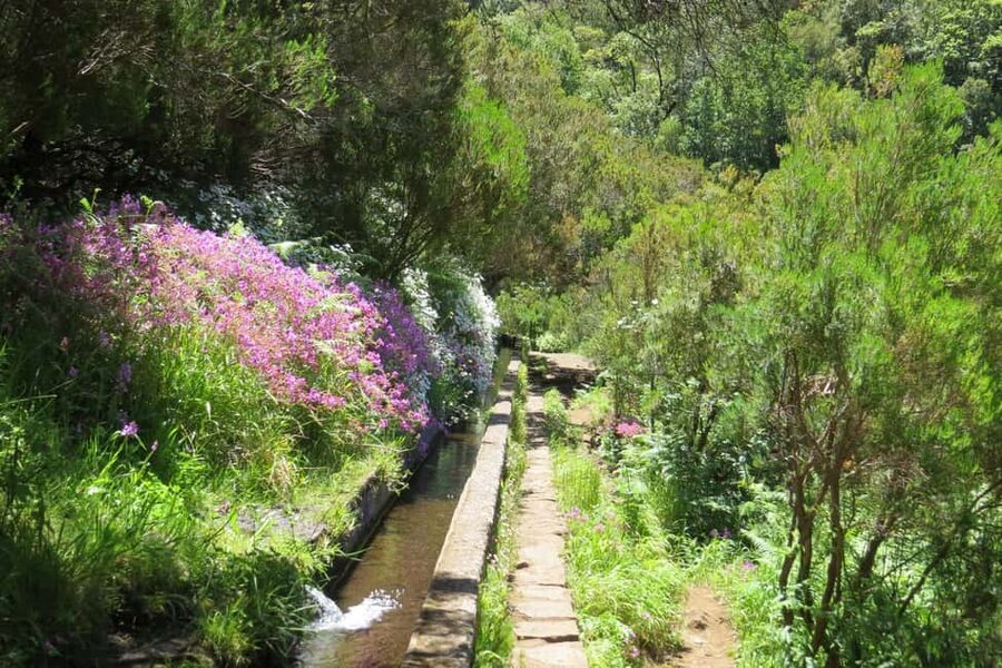 Rabaçal: 25 Fontes & Risco Levada Transfer Self-guided Hike - Five hours, the cafe, and the return transfer