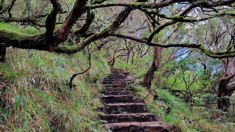 Rabaçal: 25 Fontes & Risco Levada Transfer Self-guided Hike - Is $38 good value?