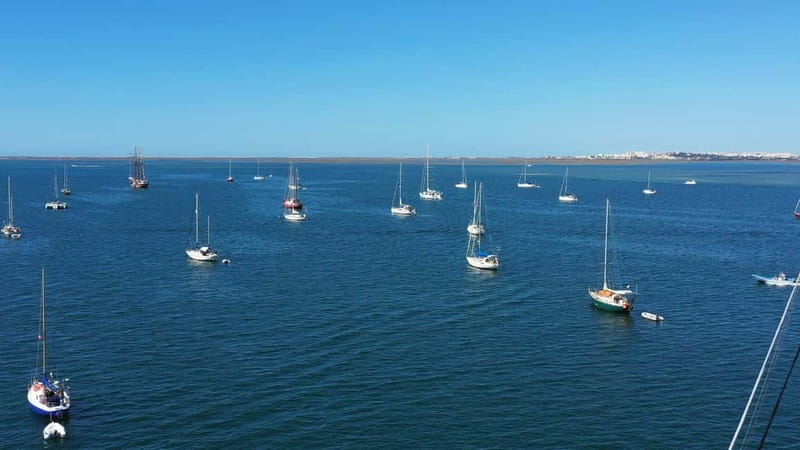 Ria Formosa: Armona and Culatra Islands 3-Hour Boat Tour - Key points to know before booking