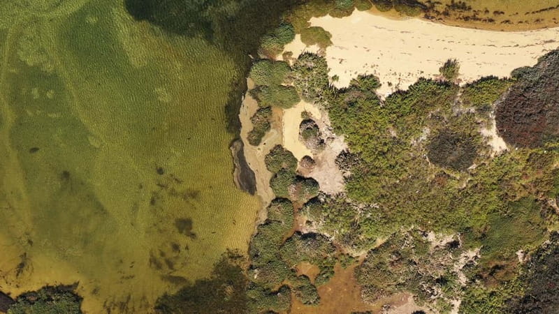 Ria Formosa: Armona and Culatra Islands 3-Hour Boat Tour - Leaving Olhão for the Ria Formosa