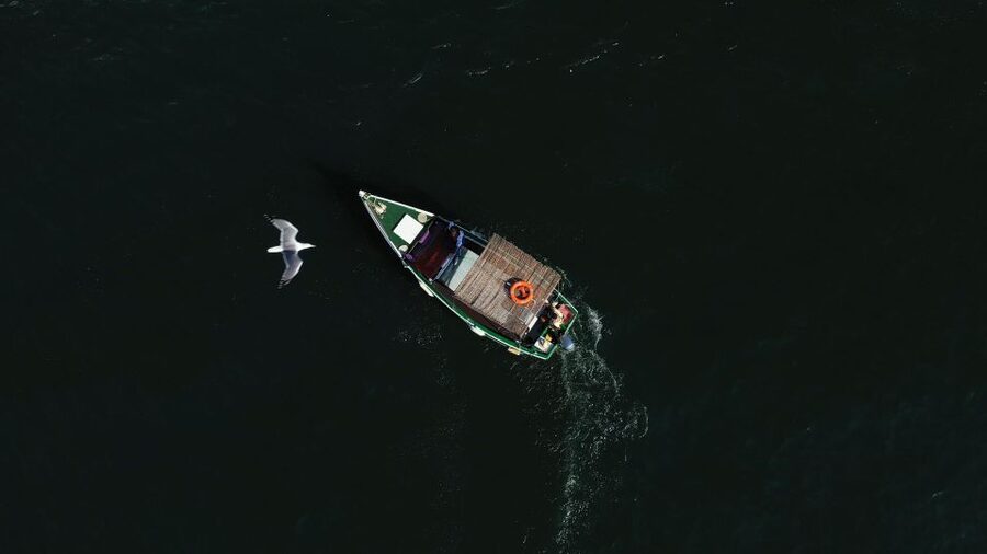 Ria Formosa: Armona and Culatra Islands 3-Hour Boat Tour - The captains make the difference