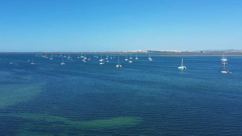 Ria Formosa: Armona and Culatra Islands 3-Hour Boat Tour - Price, value, and what you receive