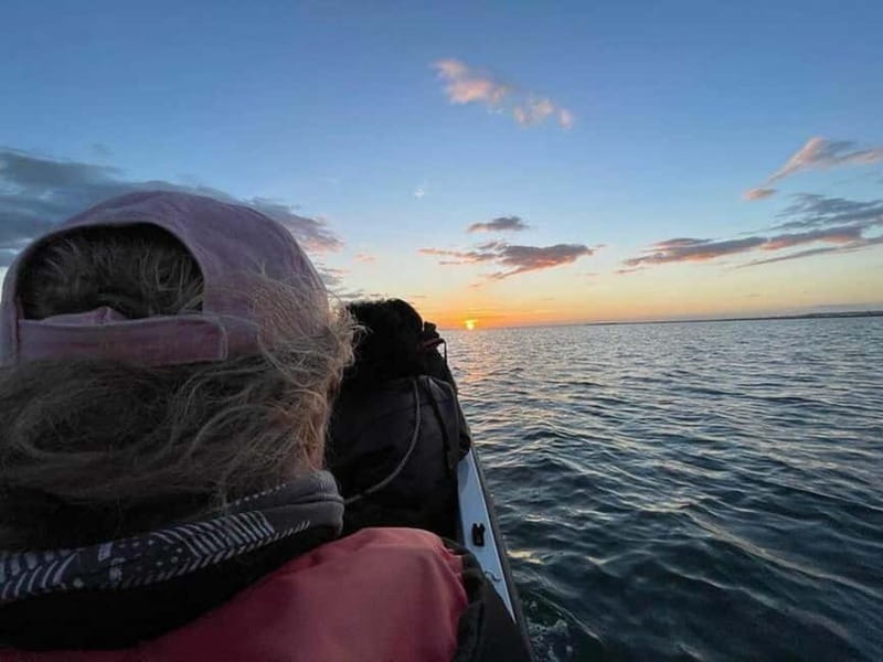 Ria Formosa: Armona and Culatra Islands 3-Hour Boat Tour - Who should book this cruise?