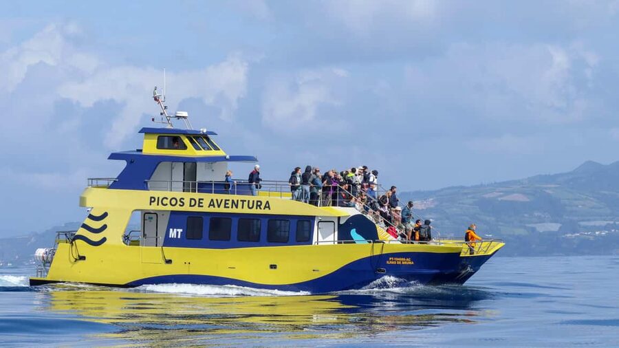 São Miguel Azores: Half-Day Whale Watching Trip - Why São Miguel is such a strong whale-watching base