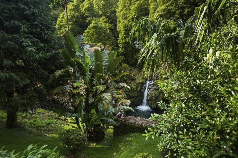 São Miguel East: Full-Day Van Tour with Lunch - Cozido turns geology into lunch