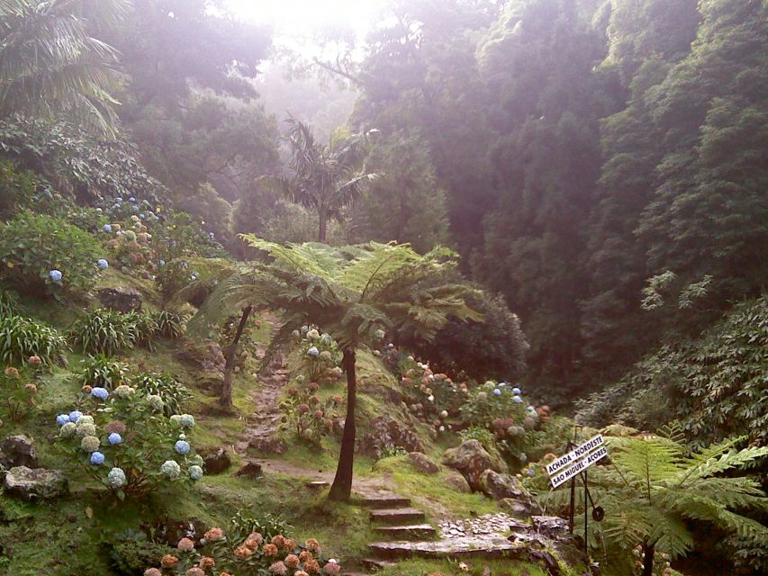 São Miguel: Nordeste, Cliffs & Waterfall Day Trip with Lunch - Why Nordeste deserves a full day