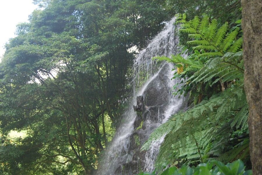 São Miguel: Nordeste, Cliffs & Waterfall Day Trip with Lunch - Pickup in Ponta Delgada and the north-coast drive