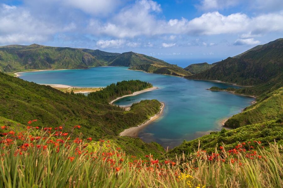 São Miguel: Whales & Volcano Full-Day Tour with Lunch - What makes the marine part worth your time