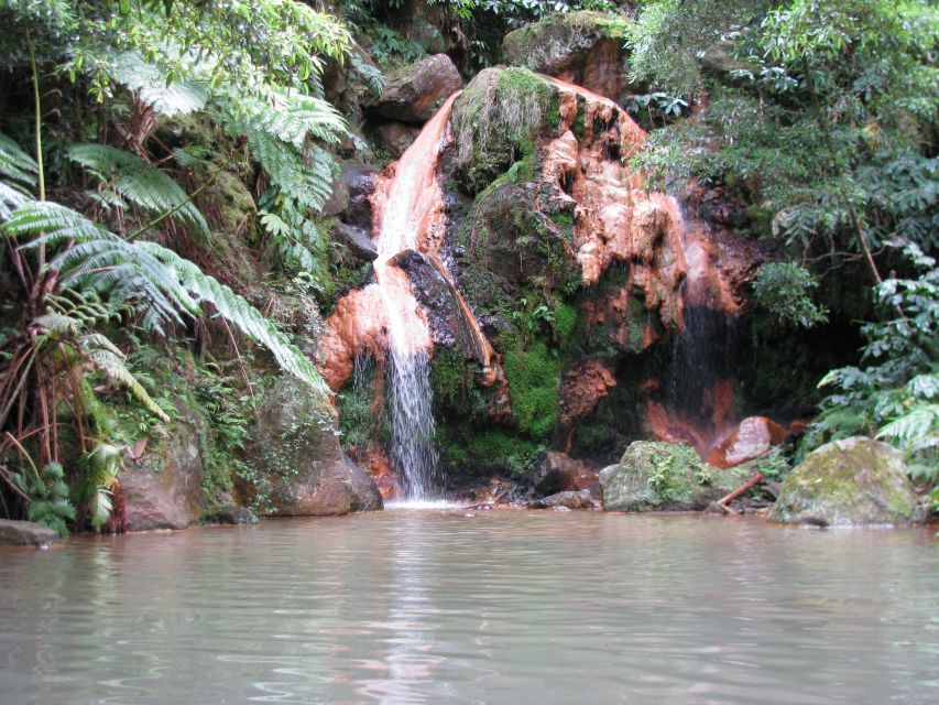 São Miguel: Whales & Volcano Full-Day Tour with Lunch - Up to Lagoa do Fogo