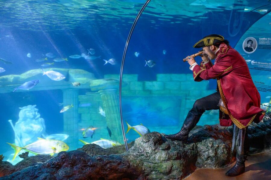 SEA LIFE Porto Full-Day Entrance Ticket - Why the cow-faced rays deserve your attention