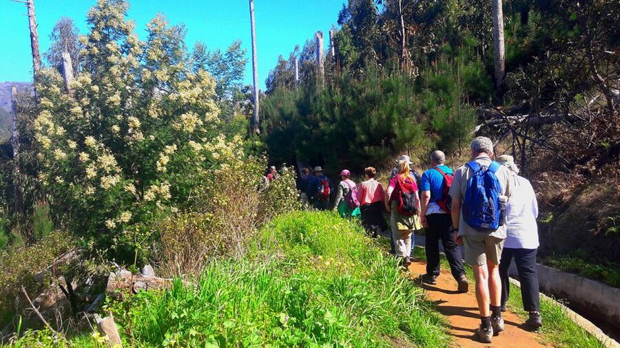 Serra de Água Valley Levada Walk - Why Serra de Água Makes a Good First Levada Walk