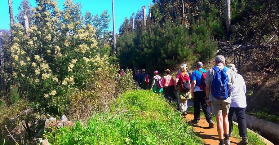 Serra de Água Valley Levada Walk - The Drive Up From Funchal and the Start of the Walk
