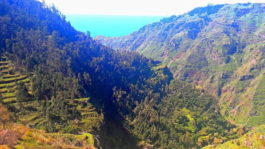 Serra de Água Valley Levada Walk - Pace, Narrow Sections, and How Hard It Really Feels