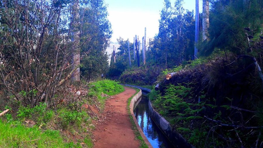 Serra de Água Valley Levada Walk - The Cafe Stop and the Question of Lunch
