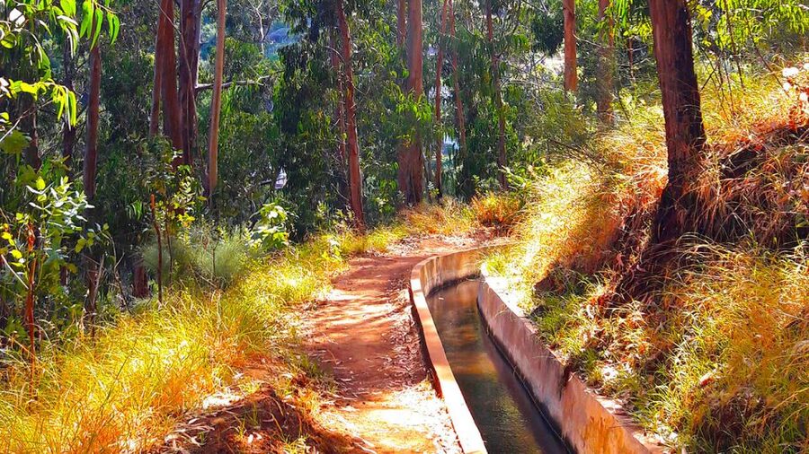 Serra de Água Valley Levada Walk - Following the Levada Through Fields and Forest