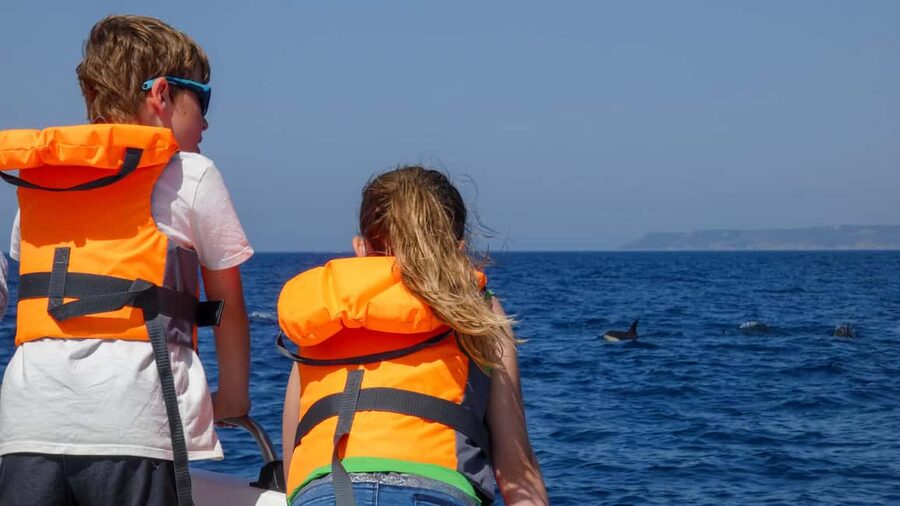 Sesimbra: Arrábida Dolphin Watching Boat Tour with Biologist - Searching for dolphins and whales in protected waters