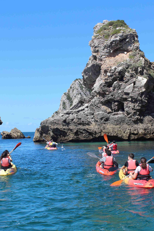 Sesimbra: Ribeiro Cavalo Beach, Caves, & Arrábida Kayak Tour - What the $44 price includes