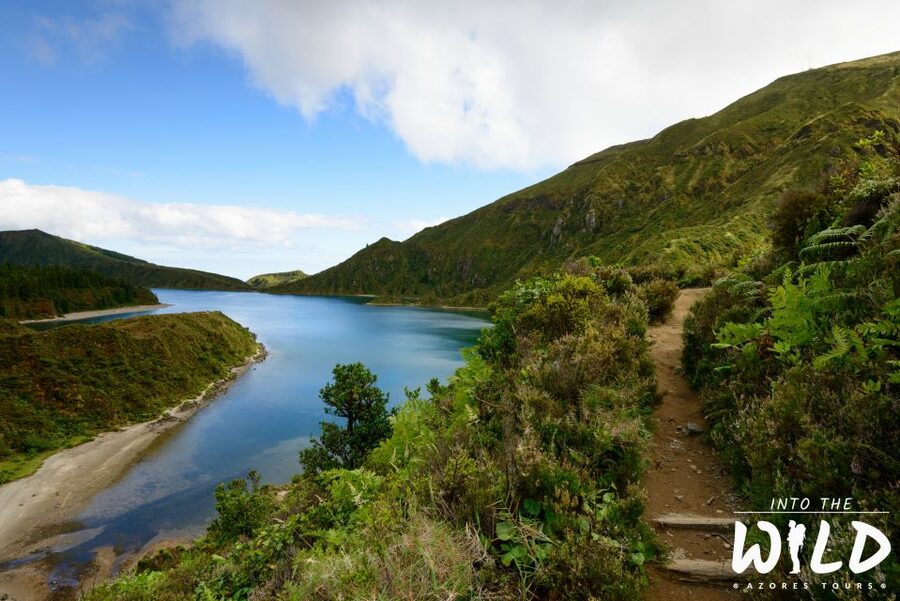 Sete Cidades & Lagoa do Fogo - Full-Day Tour - Why this route works for a first day on São Miguel
