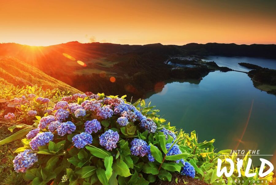 Sete Cidades & Lagoa do Fogo - Full-Day Tour - Price, timing, and what is included