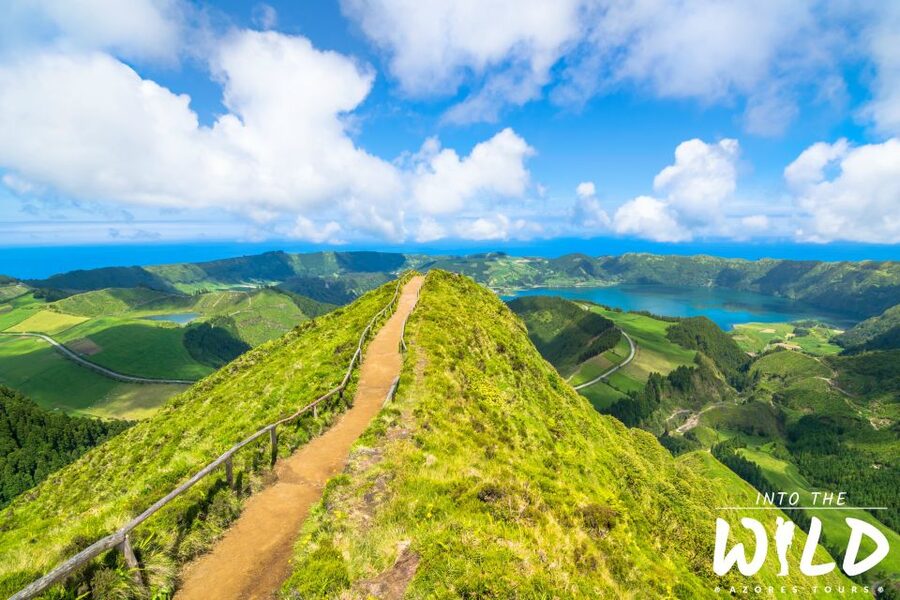 Sete Cidades & Lagoa do Fogo - Full-Day Tour - Who should book this São Miguel day trip
