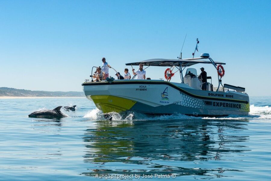 Setúbal: Dolphin-Watching Boat Tour - Leaving Setúbal and entering the Sado