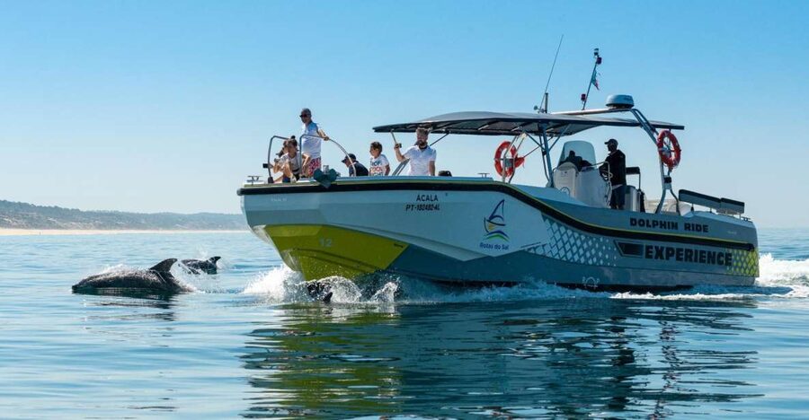 Setúbal: Dolphin-Watching Boat Tour - Price, timing, and group size