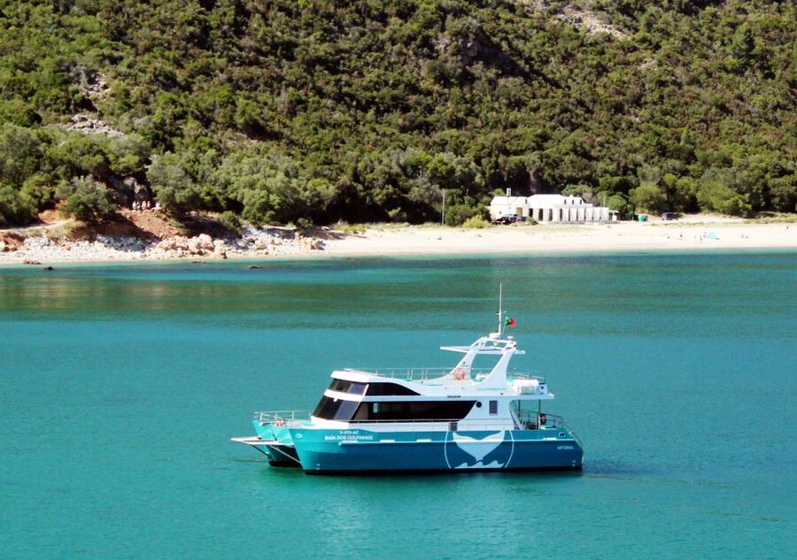 Setúbal: Dolphin Watching Tour - Key points at a glance