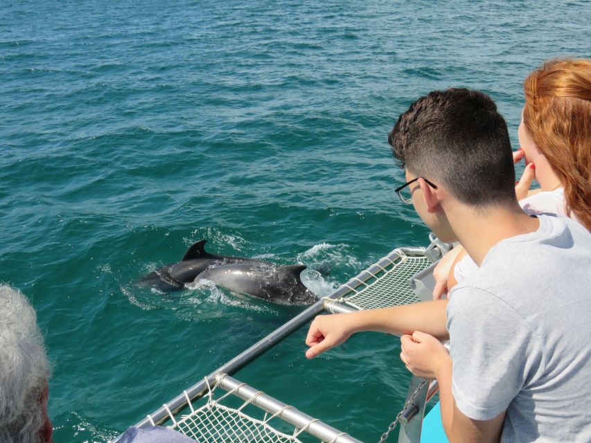 Setúbal: Dolphin Watching Tour - Why this Setúbal boat trip is different