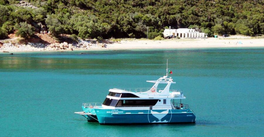 Setúbal: Dolphin Watching Tour - A welcome glass of Moscatel before departure
