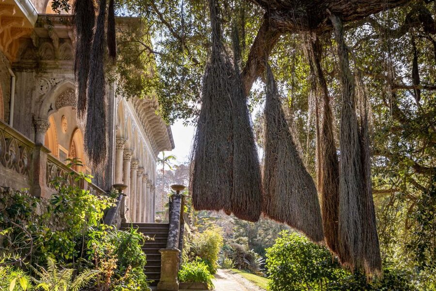 Sintra: Monserrate Palace & Park Ticket - Why Monserrate feels different from other Sintra palaces