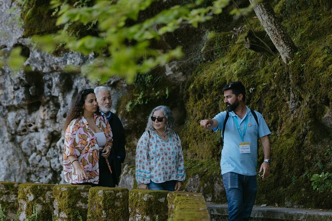 Sintra, Pena Palace and Quinta da Regaleira from Lisbon - Tickets, timing, and practical value