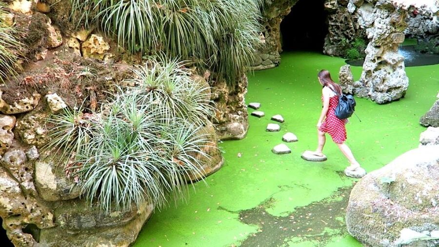 Sintra: Quinta da Regaleira Entry Ticket and Guided Tour - Who should book this Quinta da Regaleira tour?