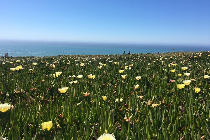 Sintra Tour with Pena Palace and Regaleira All Tickets Included - The western edge at Cabo da Roca