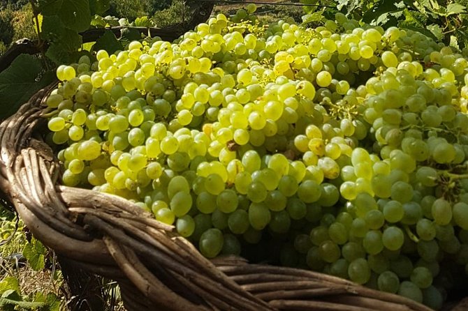 Skywalk with Wines Tasting and Vineyards Half day 4x4 Adventure - The mountain road to São Vicente