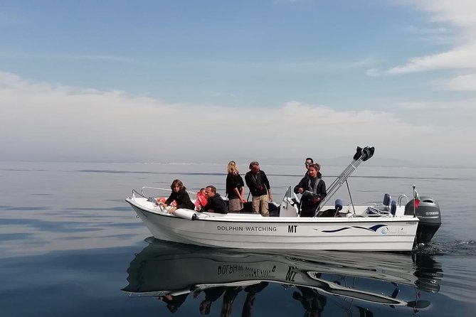 Small Group Dolphin and Wildlife Watching Tour in Faro - Key points to know before you go