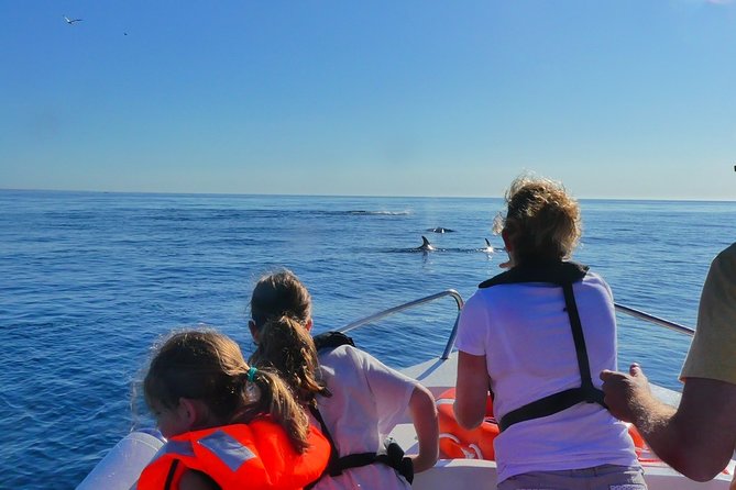 Small Group Dolphin and Wildlife Watching Tour in Faro - Searching for dolphins in open Atlantic water