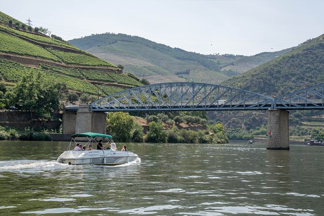 Small Group Douro Valley Wine Tour with Lunch and Cruise - The Douro River from Pinhão