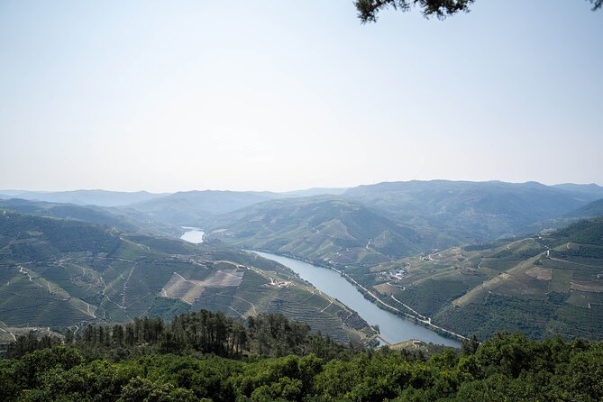 Small Group Douro Valley Wine Tour with Lunch and Cruise - Is $119.42 a fair price?