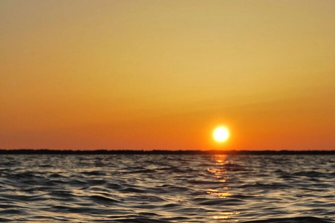 Sunset Tour | Ria Formosa - From Faro - How much value do you get for $30.23?