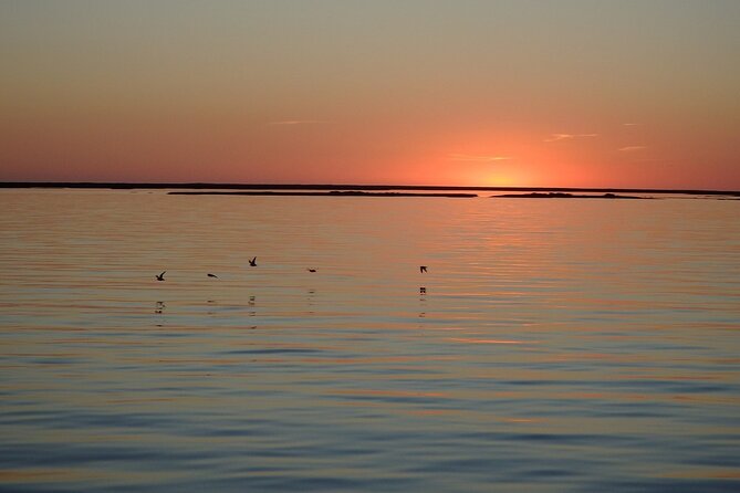 Sunset Tour | Ria Formosa - From Faro - Practical ways to improve your hour on the water