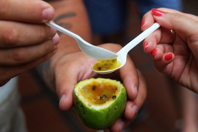 Taste Funchal: food, wine & cultural tour - Starting with wine, tea, or a first substantial plate