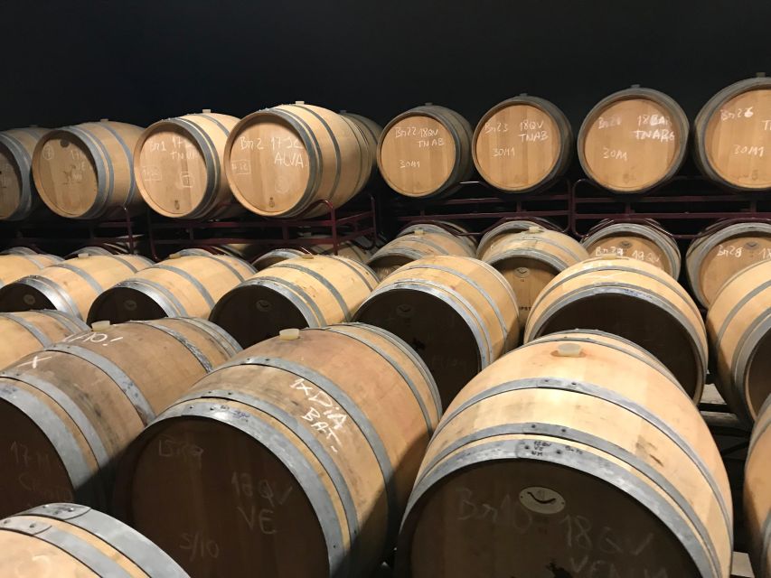 The Real Algarve: 2 Boutique Wineries & Silves Tour - Key points to know