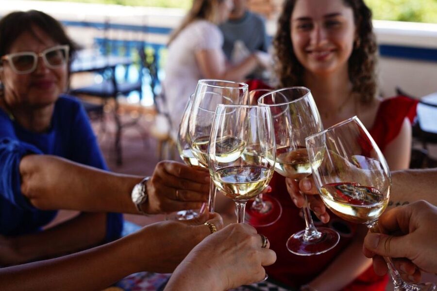 The Real Algarve: 2 Boutique Wineries & Silves Tour - Who should book this experience?